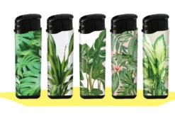 Klik Aansteker 50 Stuks .